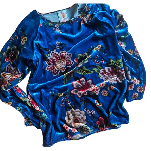 Johnny Was Karmen Blue Floral Velvet Tunic Top Blouse - Picture 2 of 4